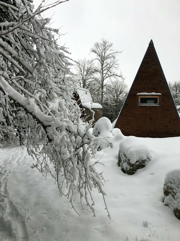 tipi bois vue de derrière