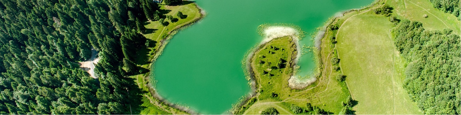 LAC GENIN